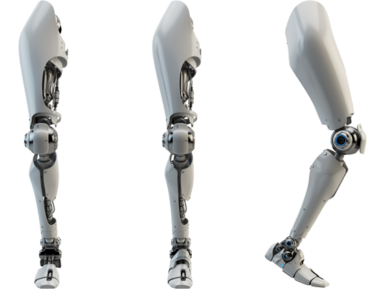 ヒューマノイドロボット（脚部）